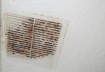 Filter Replacement Project | Air Duct Cleaning Rancho Santa Fe, CA Filter Replacement Project | Air Duct Cleaning Rancho Santa Fe, CA